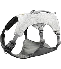 Ruffwear, Float Coat Dog Life Jacket, Premium Buoyancy Swim Vest with Lift Handle, Secure Fit & Reflective Trim, Adjustable Flotation for Swimming, Boating, & Outdoor Adventures, Wave Orange, Large