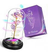 Childom Birthday Gifts for Women,Flowers for Delivery Prime,Colorful Rainbow Light Up Rose in A Glass Dome,Christmas Rose Gifts for Her Mom Women Wife Girl Grandma on Christmas Anniversary Valentines