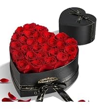 16 Preserved Flowers Rose in a Box, Gifts for Women Mom Her Wife on Mothers Day Valentines Birthday Christmas Anniversary Romantic(Red)