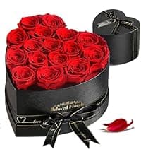 16 Preserved Flowers Rose in a Box, Gifts for Women Mom Her Wife on Mothers Day Valentines Birthday Christmas Anniversary Romantic(Red)