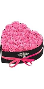 Christmas Flowers Roses Gifts for Mom,Forever Real Preserved Roses in Glass Dome,Christmas Anniversary Thanksgiving Gifts for Wife Girlfriend Women Best Friend Grandma/Purple Rose