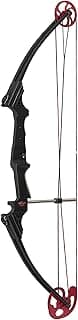 Genesis Archery Original Lightweight Compound Bow with Adjustable Aluminum Riser, 15"-30" Draw Length, 10-20 lb Draw Weight, for Kids and Adults, All Skill Levels