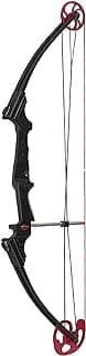 Genesis Archery Original Lightweight Compound Bow with Adjustable Aluminum Riser, 15"-30" Draw Length, 10-20 lb Draw Weight, for Kids and Adults, All Skill Levels