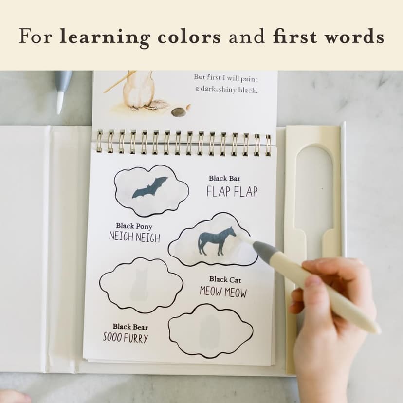 Wishy Washy (Water Reveal Edition): A Reusable Water Reveal Activity Book Teaching First Words and Colors (Tabitha Paige Children's Book Series) 196318355X