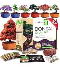 15 Culinary Herb Seeds - Heirloom & Non GMO - High Germination Rate - Seeds for Planting Indoor Hydroponic or Outdoor Herbs Garden | Gardening Gift Men Women Gardeners - Basil, Cilantro, Mint B07JCFWJ98