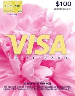Visa Physical Gift Card $100 (plus $5.95 Purchase Fee) B0CQPQFFV4