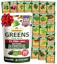 15 Culinary Herb Seeds - Heirloom & Non GMO - High Germination Rate - Seeds for Planting Indoor Hydroponic or Outdoor Herbs Garden | Gardening Gift Men Women Gardeners - Basil, Cilantro, Mint B07JCFWJ98