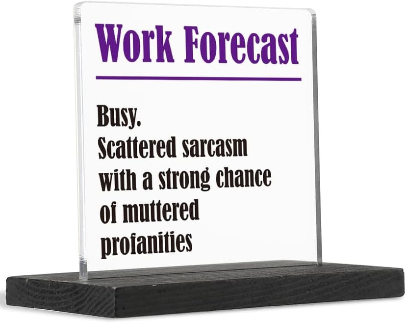 THRXOBN Cute Desk Decor for Coworker, Funny Profanity Gift for Work Colleague, Employee, Joke Birthday Office Gift for Coworker,Transparent Acrylic Desk Decoration, WYZ1