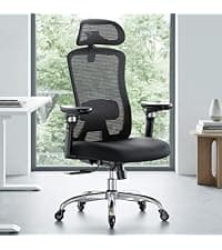 Marsail Ergonomic Mesh Office Chair High Back Home Office Desk Chair with Adaptive Lumbar Support, 2D Headrest, 3D Flip-Up Armrests, Height Adjustable and Rocking Tilt for Home Office and Gaming
