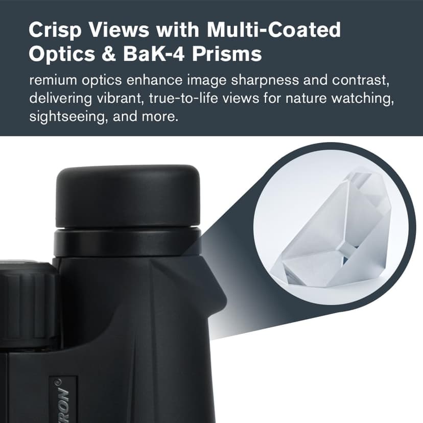 Celestron - Outland X 10x50 Binoculars – Ideal for Birding and Outdoors – 50mm Objective Lenses – 5.6° Field of View – BaK-4 Prisms – Multi-Coated – Waterproof and Fogproof