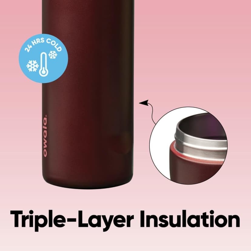 Owala FreeSip Stainless Steel Water Bottle 24 oz Black Cherry B0FJN3BTPV
