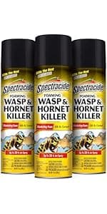 Spectracide Wasp & Hornet Killer Aerosol Kills Wasps, Hornets And Yellow Jackets On Contact & Eliminates The Nest, 12 Pack