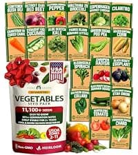 15 Culinary Herb Seeds - Heirloom & Non GMO - High Germination Rate - Seeds for Planting Indoor Hydroponic or Outdoor Herbs Garden | Gardening Gift Men Women Gardeners - Basil, Cilantro, Mint B07JCFWJ98