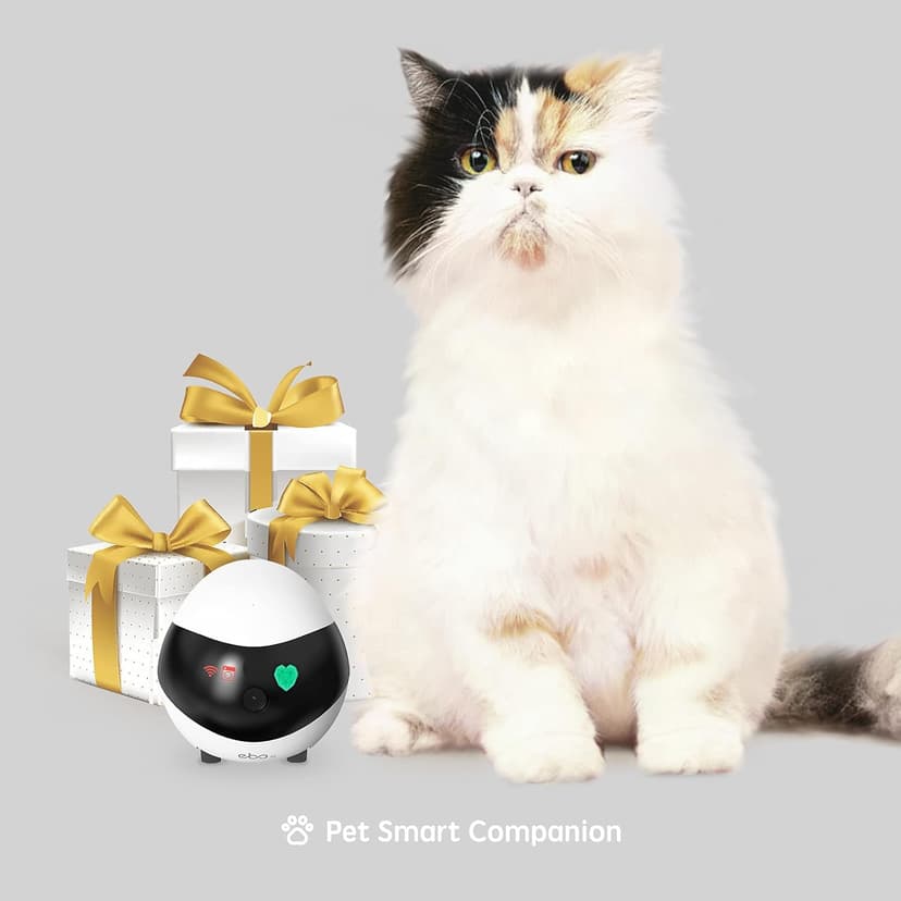 Whole-Home Mobility, Two-Way Talk, Night Vision, Local Storage, Auto-Recharge, Long Distance Gift for Family/Pet Enabot EBO SE Home Robot Camera: 1080P Mobile FamilyBot Pet Companion B09R6V3CJM