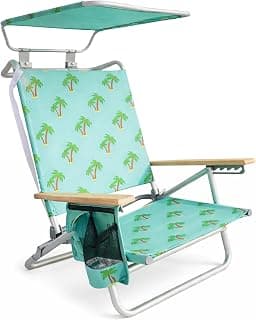 Bliss Hammocks Folding Beach Chair Recliner with Canopy Shade, Palm Tree