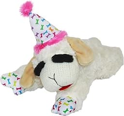 Decoding the Canine Connection: A Strategic Guide to Selecting the Best Dog Gifts