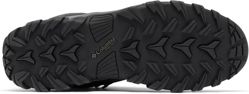 Columbia Men's Newton Ridge Plus II Suede Waterproof Hiking Boot