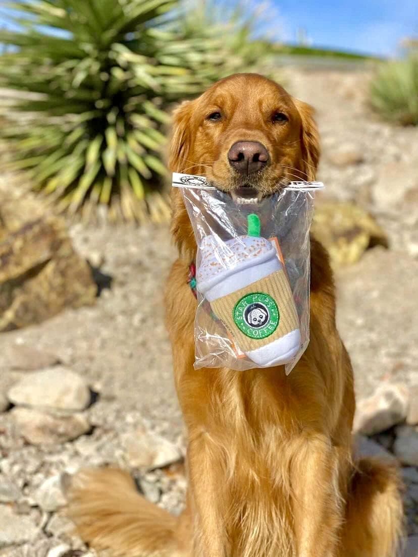 Parody Star Pups Coffee Dog Toy Pup'kin Spice Latte - Funny Plush Squeaky Crinkle Dog Toys for Medium, Small and Large for Dog Birthday