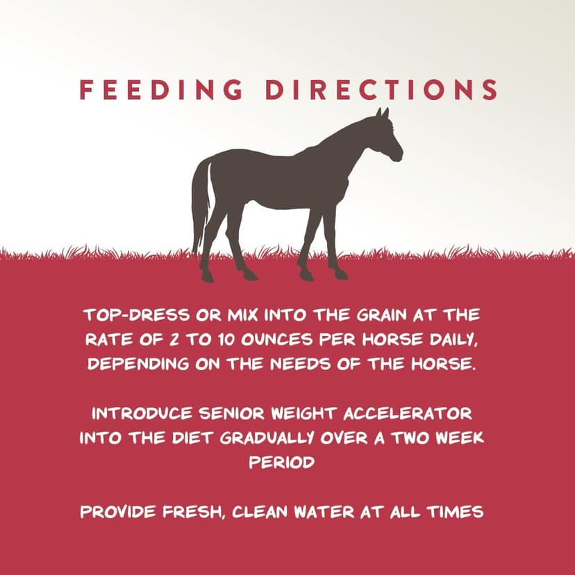 Manna Pro Weight Accelerator for Senior Horses – Weight Gain and Muscle Support Supplement with Omega 3 Fatty Acids and Flaxseed – High-Calorie Feed Topper for Horses – 8 lb Bag