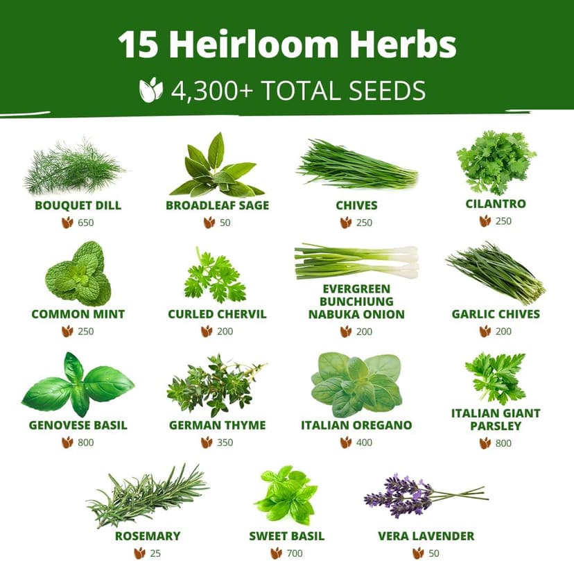 15 Culinary Herb Seeds - Heirloom & Non GMO - High Germination Rate - Seeds for Planting Indoor Hydroponic or Outdoor Herbs Garden | Gardening Gift Men Women Gardeners - Basil, Cilantro, Mint B07JCFWJ98