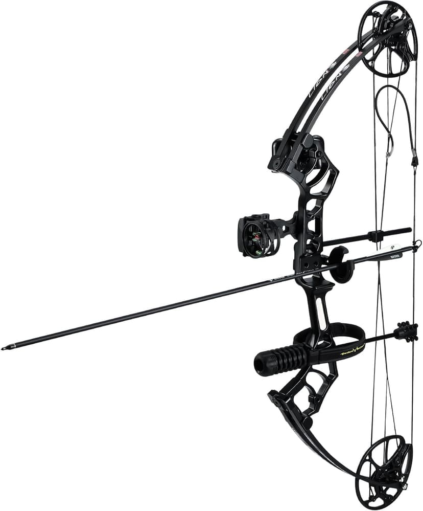 Archery Eagle Compound Bow and Archery Sets 20-70lbs for Adults and Teens,25"-31" Draw Length，up to IBO 320 fps，Lightweight Design Bow Adjustable 2026 New