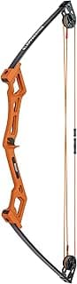 Precision Archery Without the Premium Price: The Guide to the Best Cheap Bow for Hunting