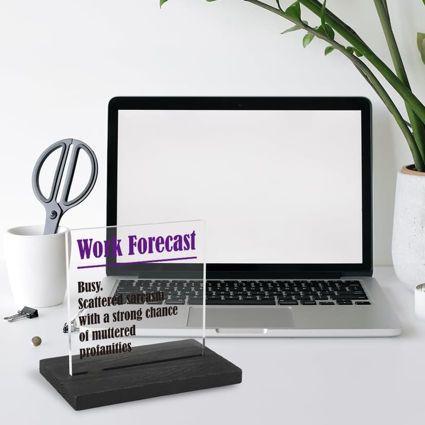 THRXOBN Cute Desk Decor for Coworker, Funny Profanity Gift for Work Colleague, Employee, Joke Birthday Office Gift for Coworker,Transparent Acrylic Desk Decoration, WYZ1