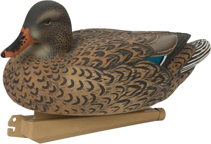 Avery GHG Essential Mallard Duck Decpus - 12 Pack