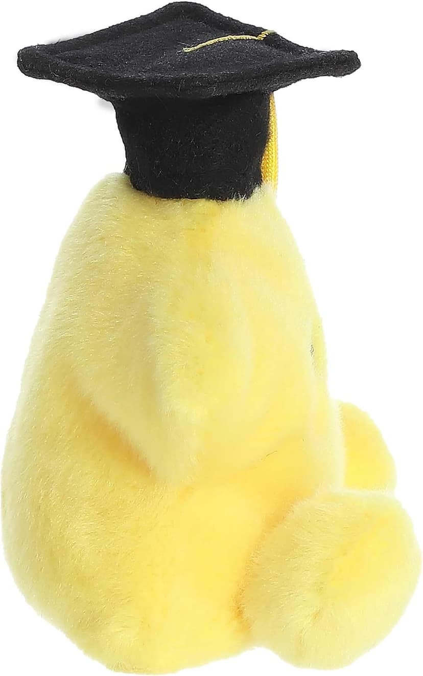Bean-filled understuffed bodies with collectible personalities Aurora Palm Pals 5" Magna Graduation Star Adorable Plush B0CLYVZQ8K