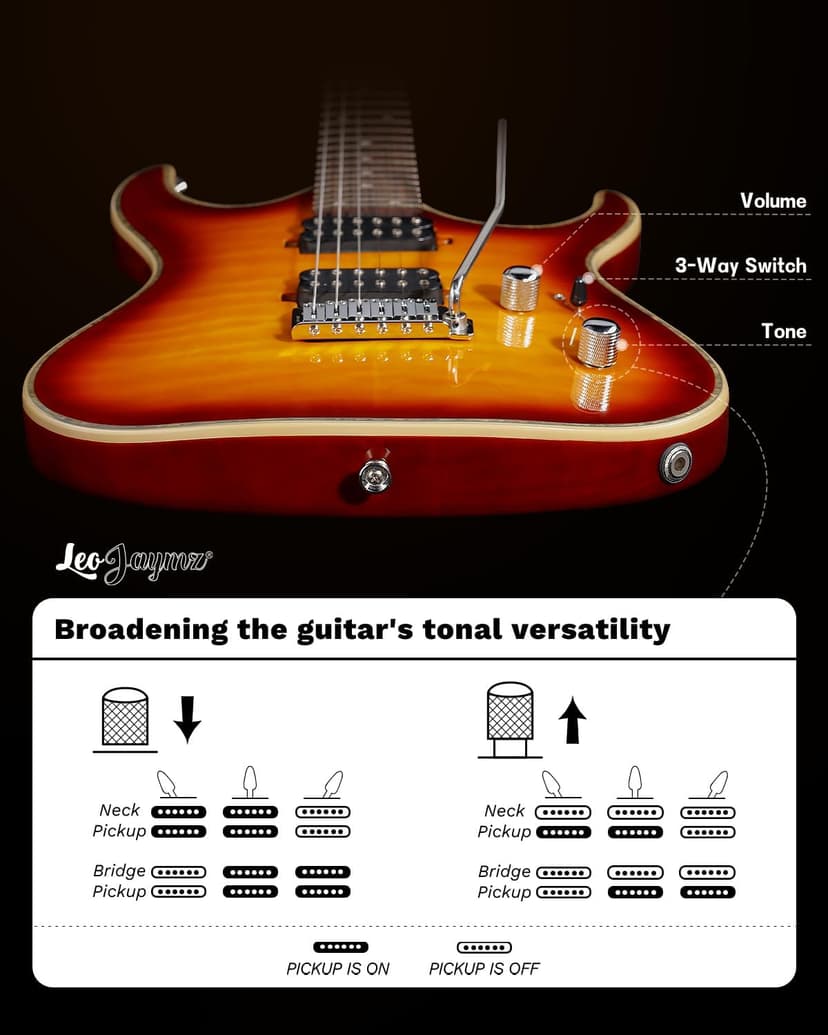 Leo Jaymz Hurricane Series Electric Guitar,Double Cut Arched Top Mahogany Body,Reverse Headstock,Roasted Maple Neck,Rosewood Fretboard,Alnico V Pickups,Locking Tuners,Tremolo Bridge (Sunburst)