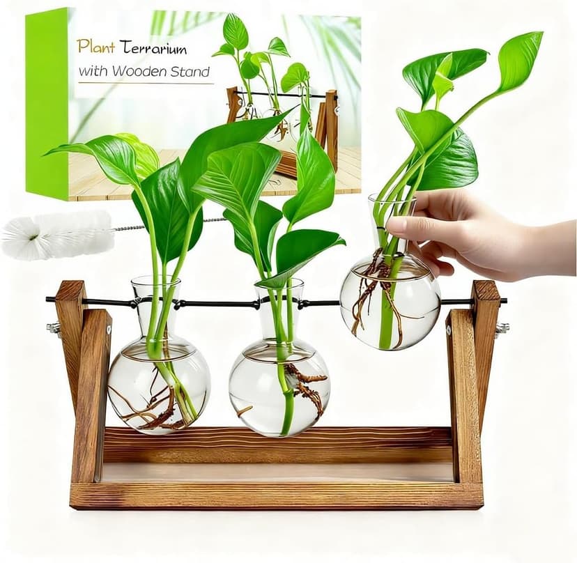 Unique Gardening Birthday Gifts for Women Plants Lovers, Home Office Garden Decor Planter - 3 Bulb Glass Vases Renmxj Plant Propagation Station, Plant Terrarium with Wooden Stand B096VDR4TM
