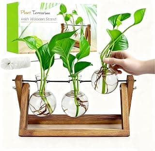 Unique Gardening Birthday Gifts for Women Plants Lovers, Home Office Garden Decor Planter - 3 Bulb Glass Vases Renmxj Plant Propagation Station, Plant Terrarium with Wooden Stand B096VDR4TM