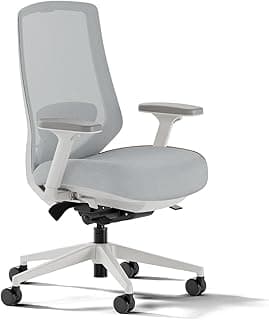 Branch Ergonomic Chair Pro - Mesh Office Chair with 14 Points of Adjustment - Height, Depth & Tilt Adjustable - 5D Armrests - Forward Tilt, Smooth Recline, and Lumbar Support - Mineral