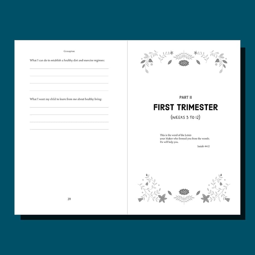 Praying Through Your Pregnancy: A Week-by-Week Devotional for Expecting Moms | Christian Pregnancy Journal | Gift for First-Time Moms 0800746015