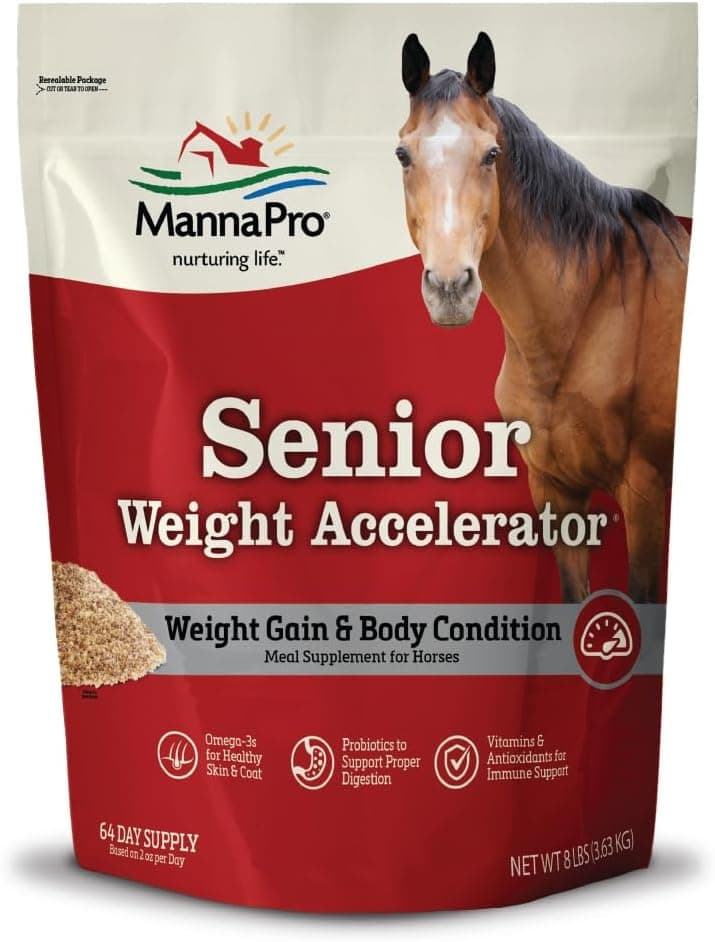 Manna Pro Weight Accelerator for Senior Horses – Weight Gain and Muscle Support Supplement with Omega 3 Fatty Acids and Flaxseed – High-Calorie Feed Topper for Horses – 8 lb Bag