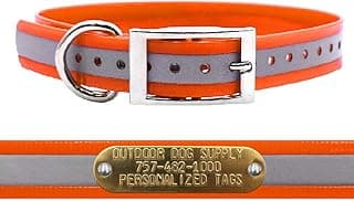 Outdoor Dog Supply 1" Heavy Duty Reflective Waterproof D-Ring Dog Collar for Medium & Large Dogs with 3/4" Custom Brass Nameplate (Reflective Orange, 21")