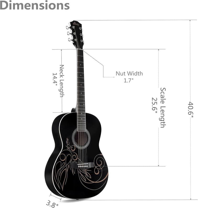 WINZZ AF227A 39 Inches Concert Acoustic Acustica Guitar with Full Kit, Delicate Vine