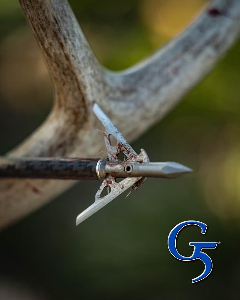 G5 Megameat 3-Blade Expandable Broadheads | 3-Pack | 100/125 Grains | Razor Sharp 2" Cutting Diameter Mechanical Blades | Screw in | Compound & Recurve Compatible | 1 BMP Practice Tip Included