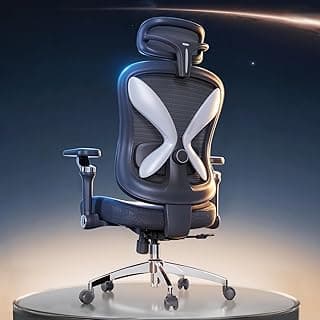 amseatec Office Chair Ergonomic Desk Chair,350 LBS Home Mesh Office Desk Chairs with 3D Adjustable Lumbar Support,5D Flip-up Arms,2D Adjustable Headrest,Comfortable Computer Gaming Chairs(Black)