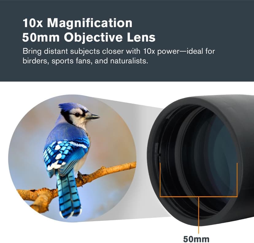 Celestron - Outland X 10x50 Binoculars – Ideal for Birding and Outdoors – 50mm Objective Lenses – 5.6° Field of View – BaK-4 Prisms – Multi-Coated – Waterproof and Fogproof