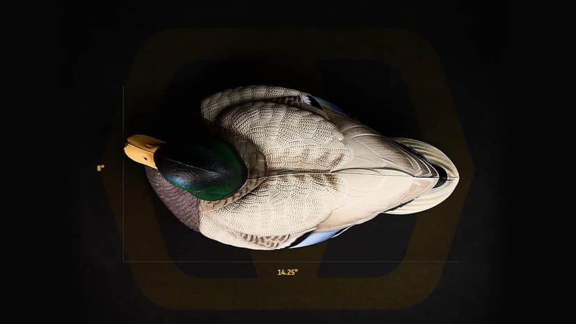 Mallard Duck Decoys by Heyday – Ultra-Light 100% HydroFoam | Durable, Realistic Design | 6 Pack of Duck Hunting Decoys