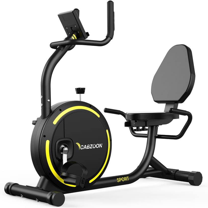 Recumbent Exercise Bike for Home Heavy-Duty Stationary Bike For Seniors Bicycle Exercise Machine Bicycle LCD Monitor,265LBS,8 Level Resistance Black