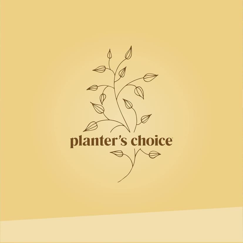 Bonsai Starter Kit - Gardening Easter Gift for Women & Men - Bonsai Tree Growing Garden Crafts Hobby Kits for Adults, Unique DIY Hobbies for Plant Lovers - Unusual Christmas Gifts Ideas