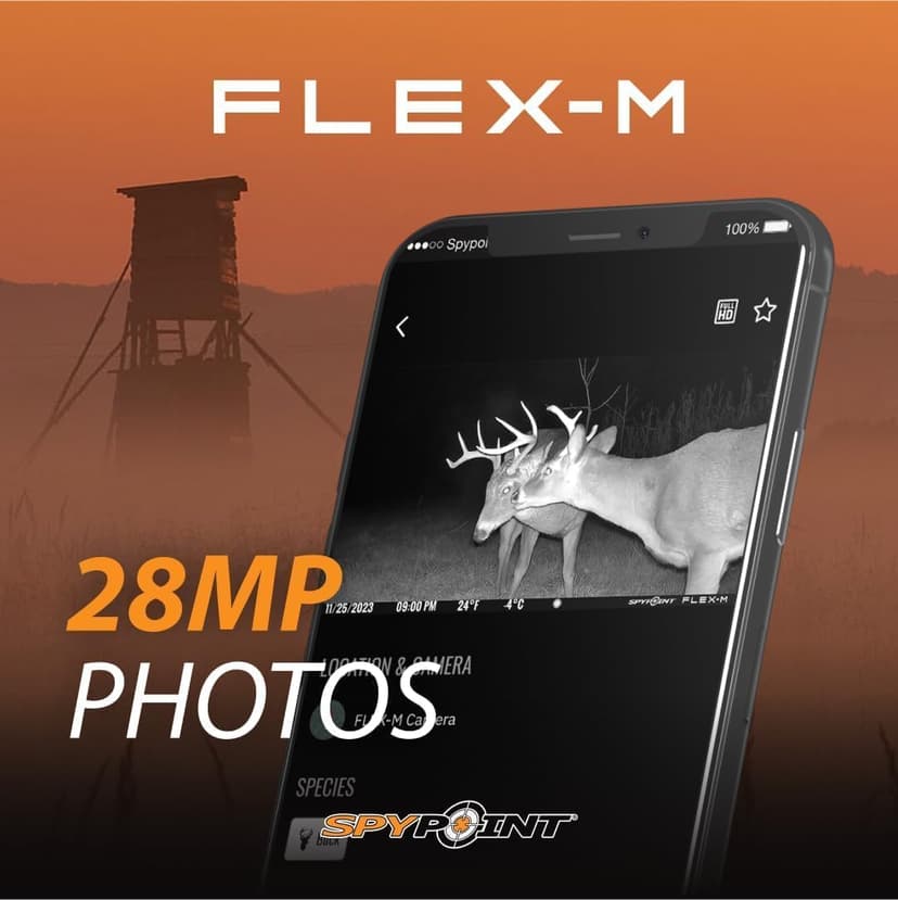 SPYPOINT Flex-M Twin Pack Cellular Trail Cameras - 2 SD Cards Included, Best Hunting Accessories, No WiFi Needed, GPS, Night Vision, IP65 Water-Resistant, 28MP Photos, & 720p Videos + Sound (2)