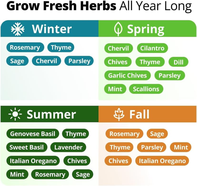 15 Culinary Herb Seeds - Heirloom & Non GMO - High Germination Rate - Seeds for Planting Indoor Hydroponic or Outdoor Herbs Garden | Gardening Gift Men Women Gardeners - Basil, Cilantro, Mint B07JCFWJ98
