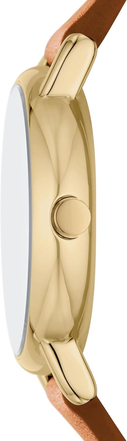 Skagen Signatur Lille Minimalist Watch for Women