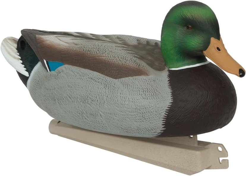 Avery GHG Essential Mallard Duck Decpus - 12 Pack
