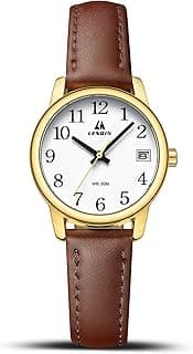 LN LENQIN Ladies Watches Analog Quartz Watch for Women Waterproof Women's Wrist Watches Easy Reader Womens Watch with Leather Strap