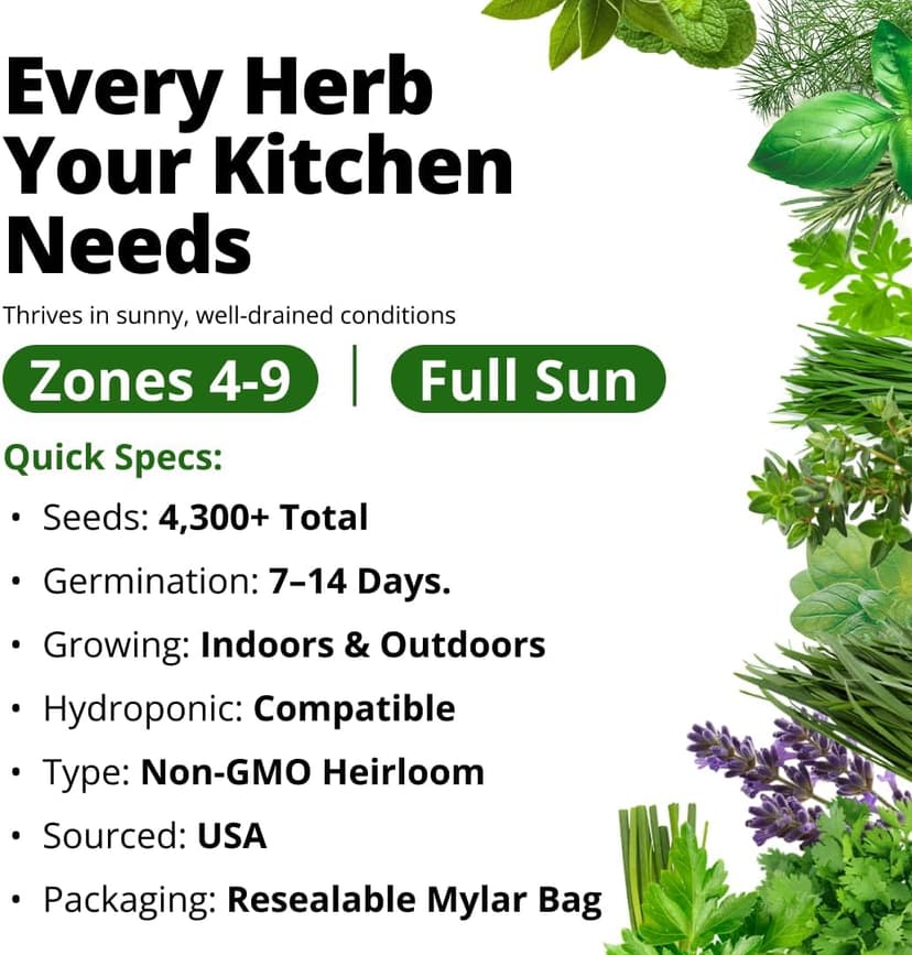 15 Culinary Herb Seeds - Heirloom & Non GMO - High Germination Rate - Seeds for Planting Indoor Hydroponic or Outdoor Herbs Garden | Gardening Gift Men Women Gardeners - Basil, Cilantro, Mint B07JCFWJ98