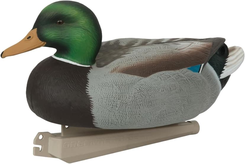 Avery GHG Essential Mallard Duck Decpus - 12 Pack